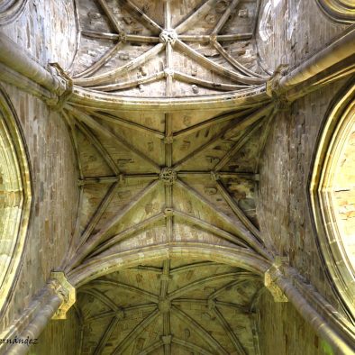 Visitas guiadas Plasencia