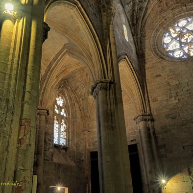 Visitas guiadas Plasencia
