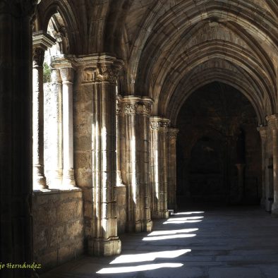 Visitas guiadas Plasencia