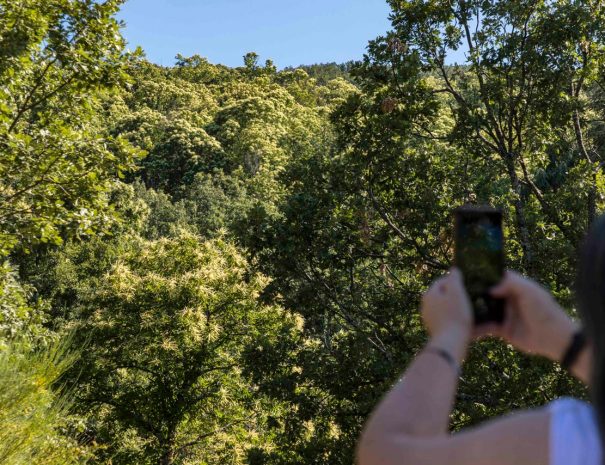 Visitas guiadas a Cáparra y Hervás