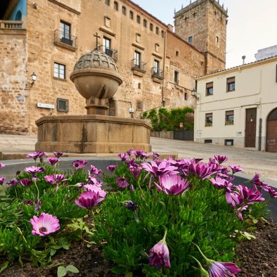 Visitas guiadas Plasencia
