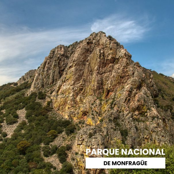 Visita guiada Monfragüe