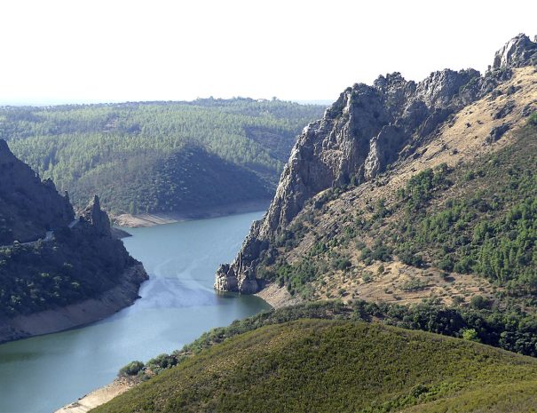 Visitas al Parque Nacional de Monfragüe