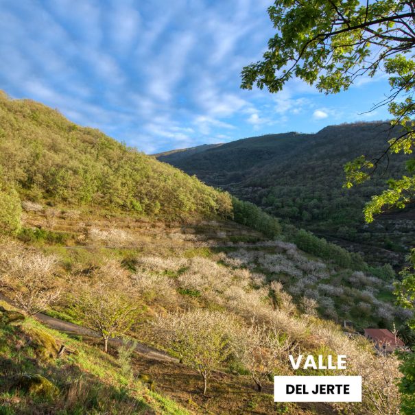 Visita guiada Valle del Jerte