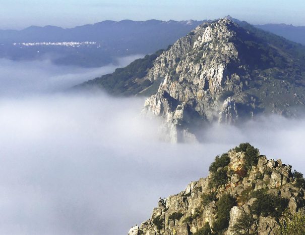 Visitas al Parque Nacional de Monfragüe