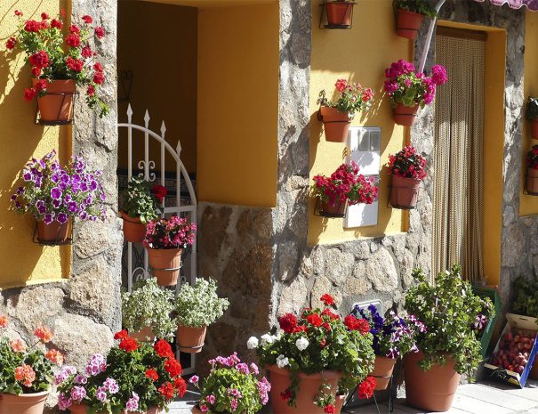Visitas guiadas Monasterio de Yuste y Garganta la Olla